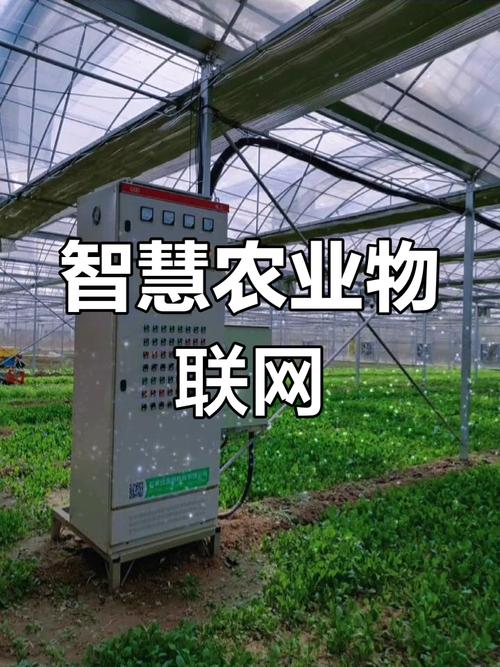 石家庄栾城区农林科技园区实现物联网应用